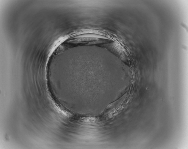 X0000095530104200712281530