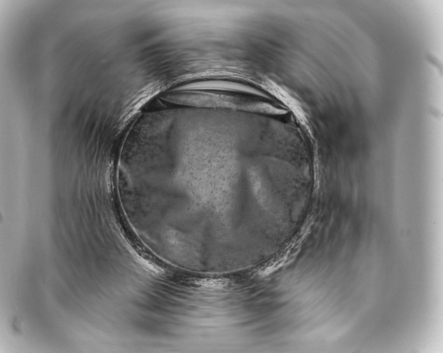 X0000095530105200712281530