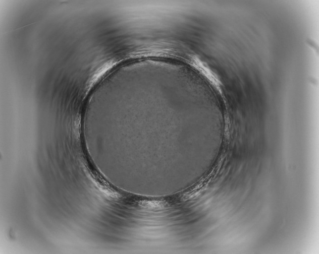 X0000095530107200712281530