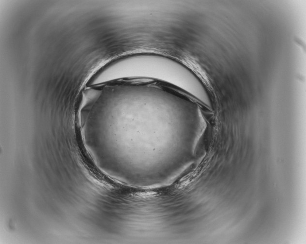 X0000095530108200712281530