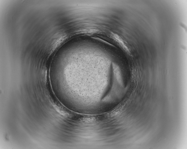 X0000095530110200712281530