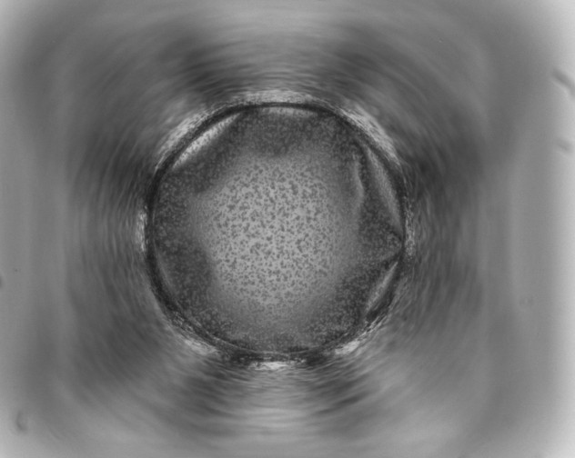 X0000095530111200712281530