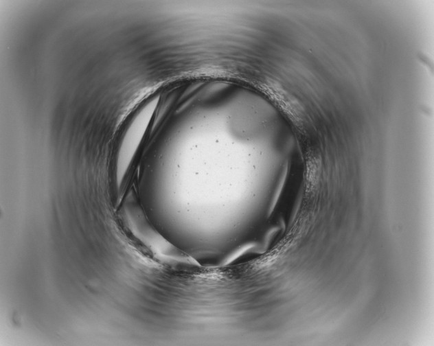 X0000095530112200712281530