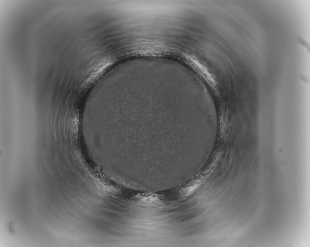 X0000095530113200712281530