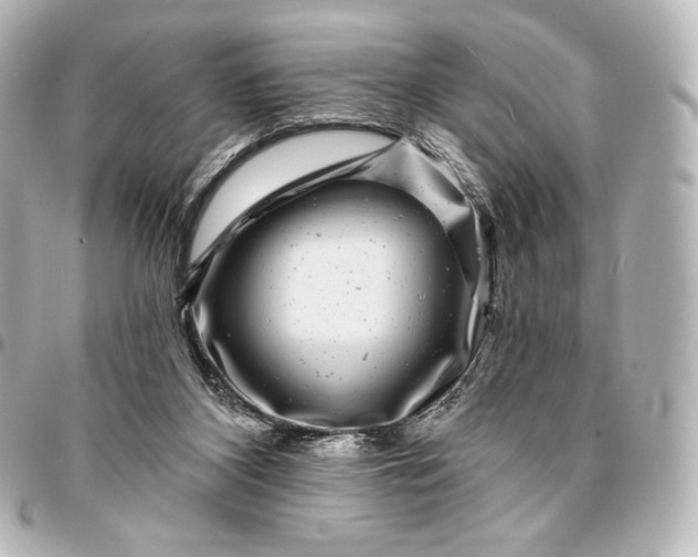 X0000095530116200712281530