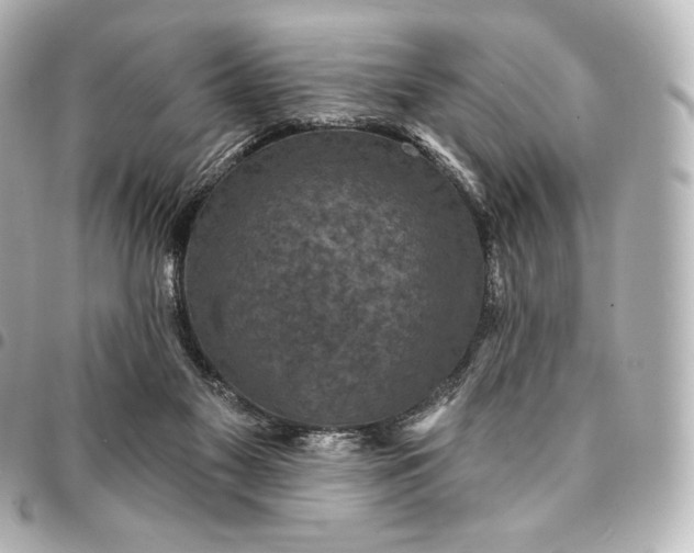 X0000095530117200712281530