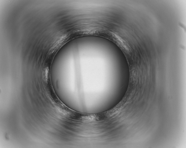 X0000095530118200712281530