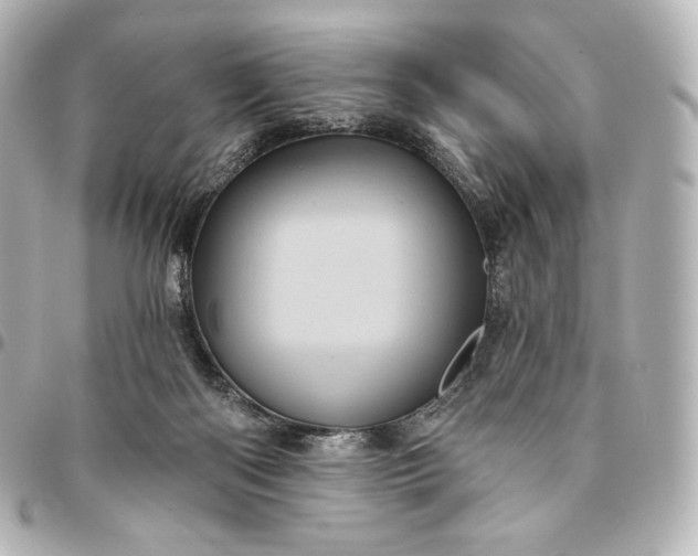 X0000095530122200712281530