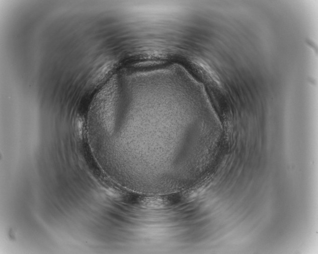 X0000095530123200712281530
