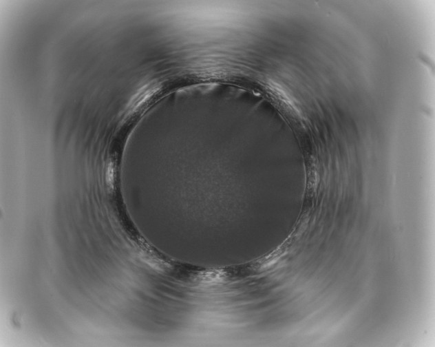 X0000095530124200712281530