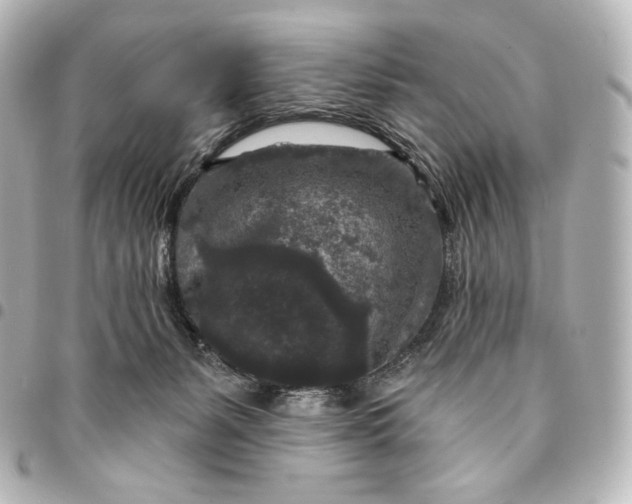 X0000095530127200712281530