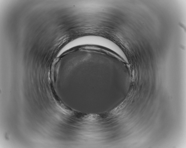 X0000095530128200712281530