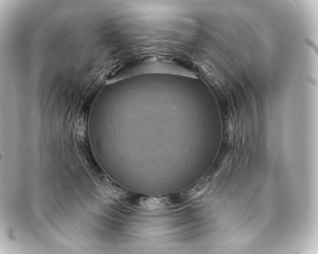 X0000095530129200712281530
