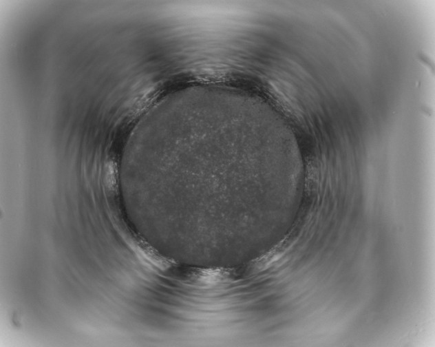 X0000095530130200712281530