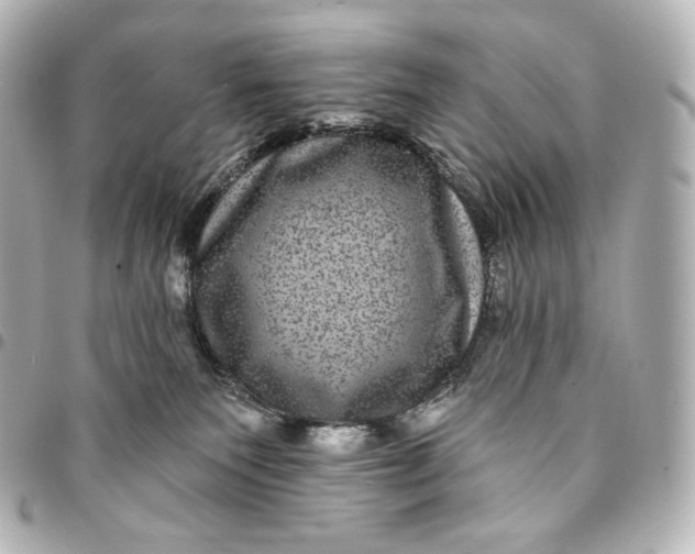 X0000095530135200712281530