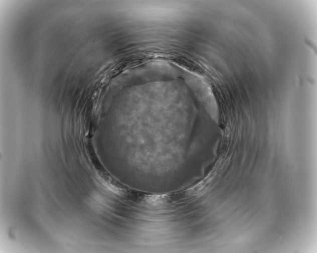 X0000095530136200712281530