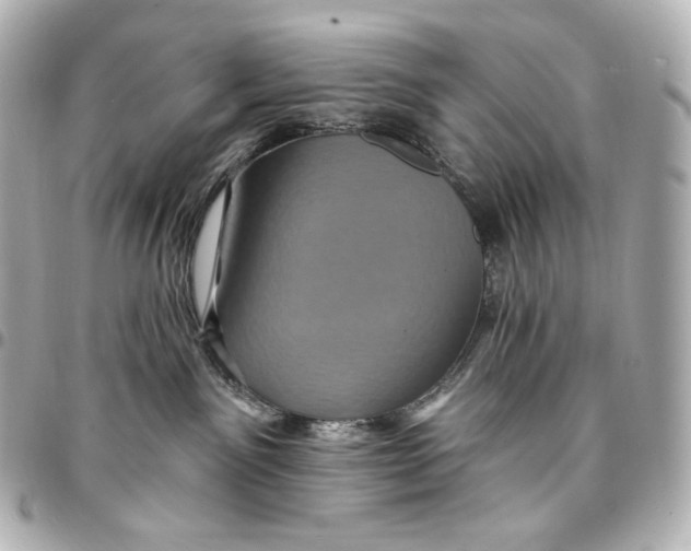 X0000095530141200712281530