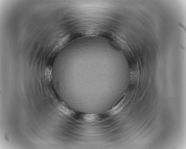 X0000095530142200712281530