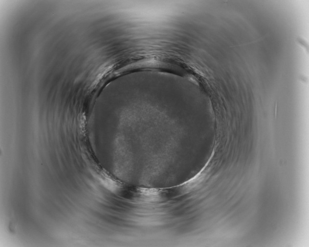 X0000095530144200712281530
