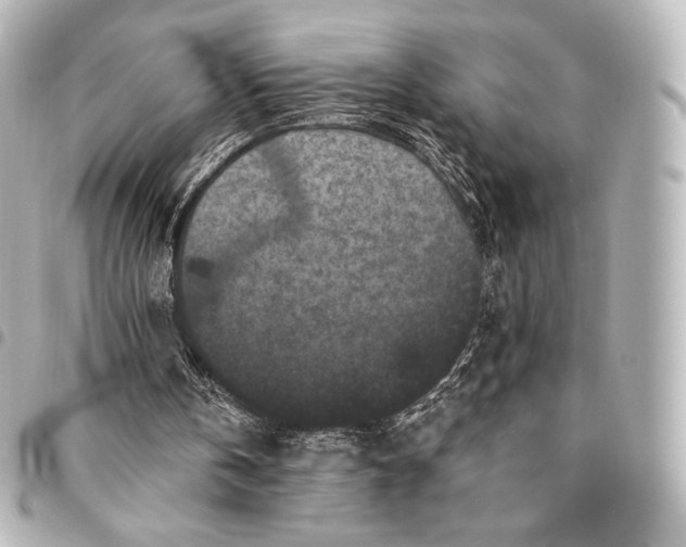 X0000095530146200712281529