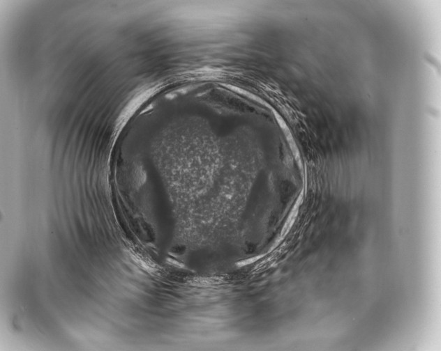 X0000095530147200712281529