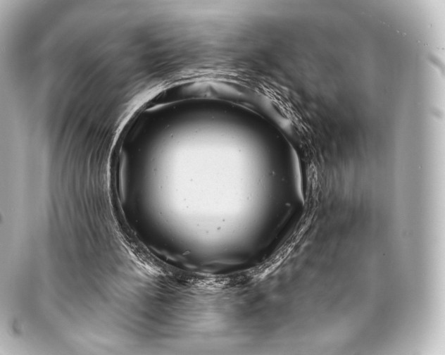 X0000095530148200712281529