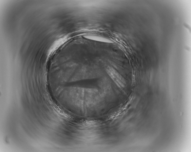 X0000095530149200712281529