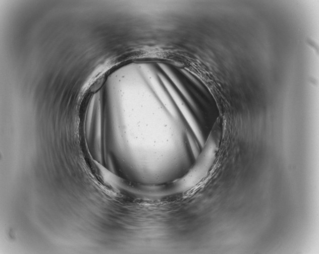 X0000095530150200712281529