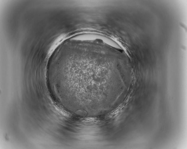 X0000095530151200712281529
