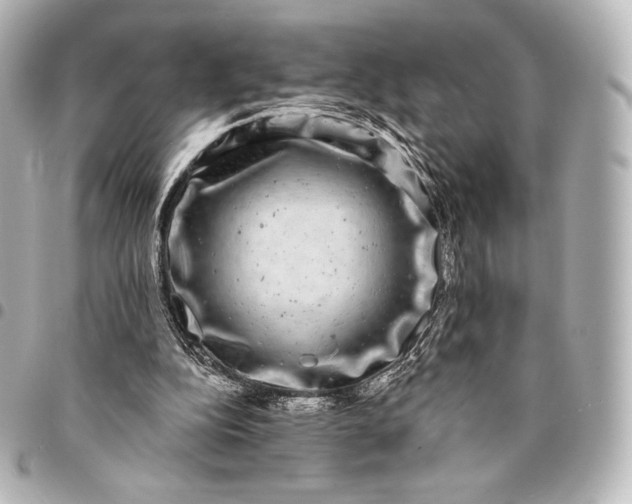 X0000095530152200712281529