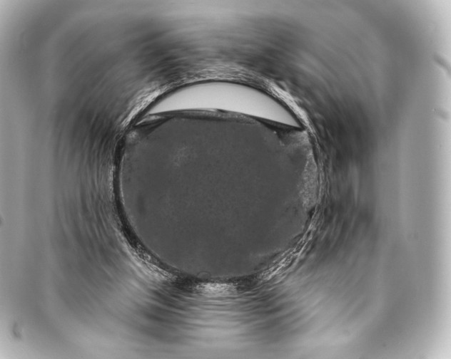 X0000095530154200712281529