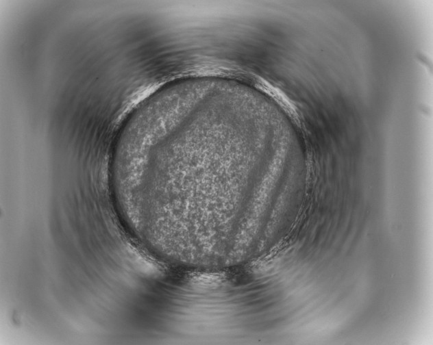 X0000095530155200712281529