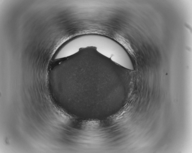 X0000095530156200712281529