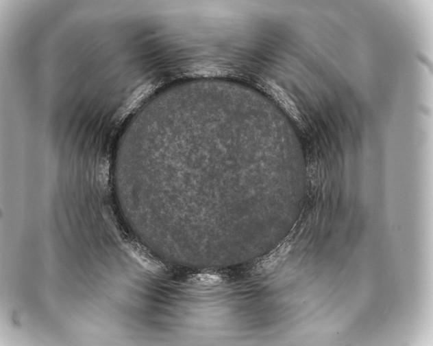 X0000095530159200712281529