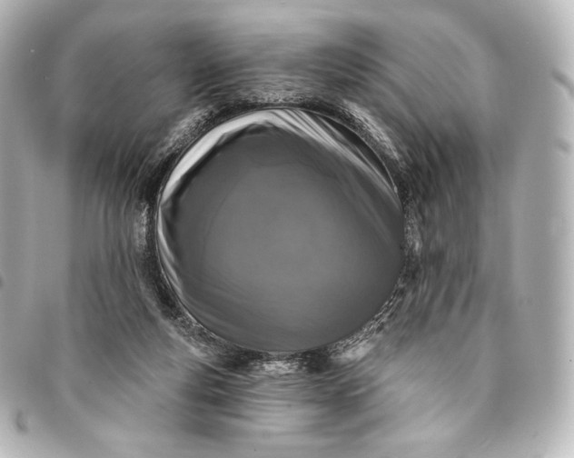 X0000095530163200712281529