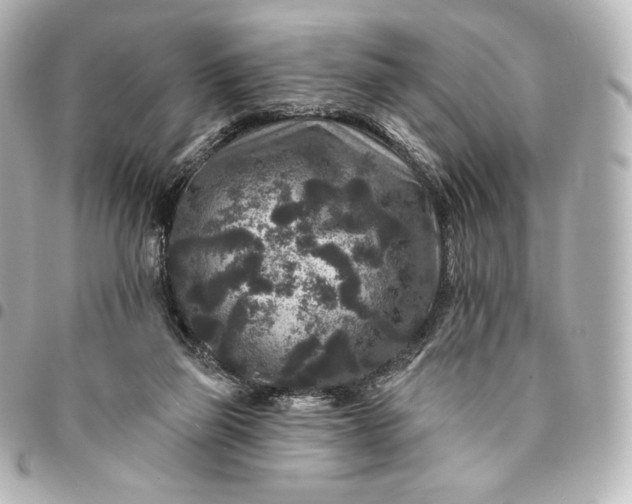 X0000095530165200712281529