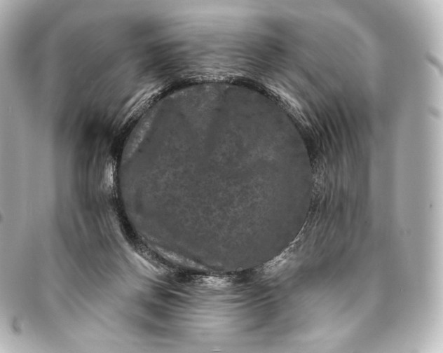 X0000095530166200712281529