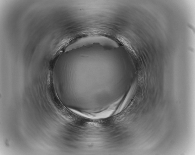 X0000095530167200712281529