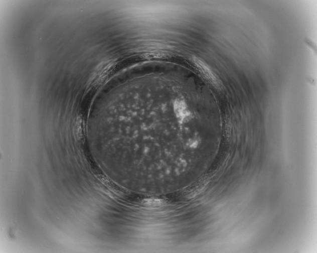 X0000095530169200712281529