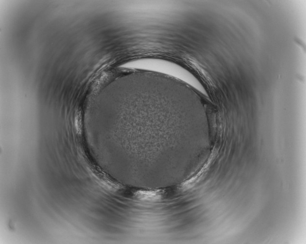 X0000095530170200712281530