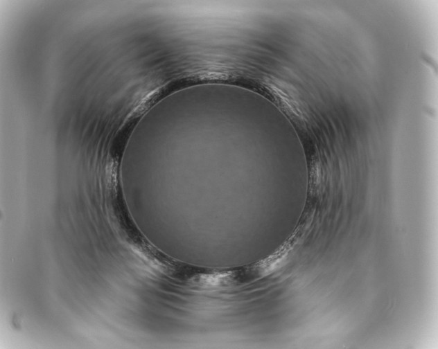 X0000095530172200712281530