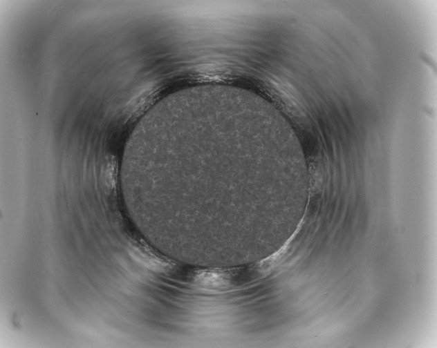 X0000095530174200712281530