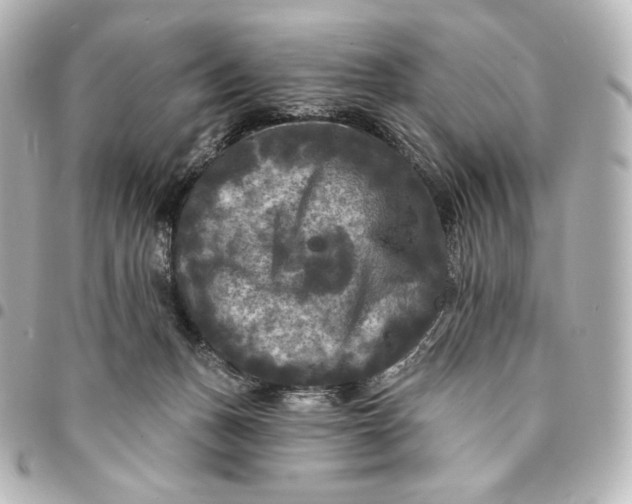 X0000095530175200712281530
