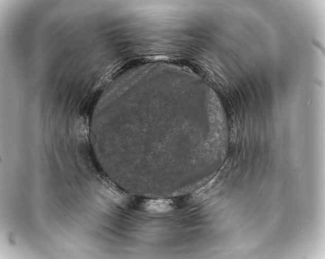 X0000095530179200712281530