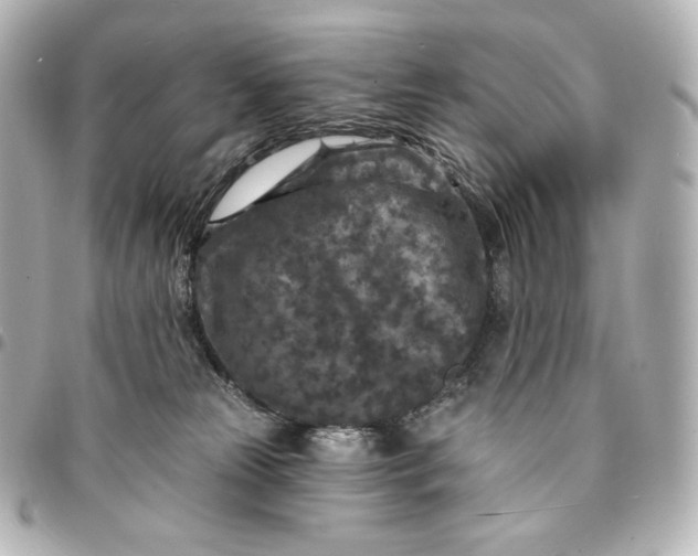 X0000095530181200712281530