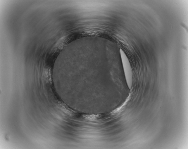 X0000095530182200712281530