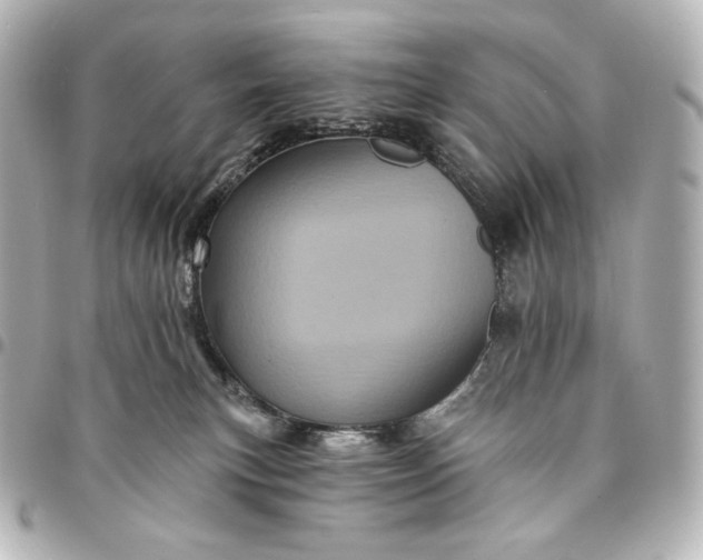 X0000095530183200712281530