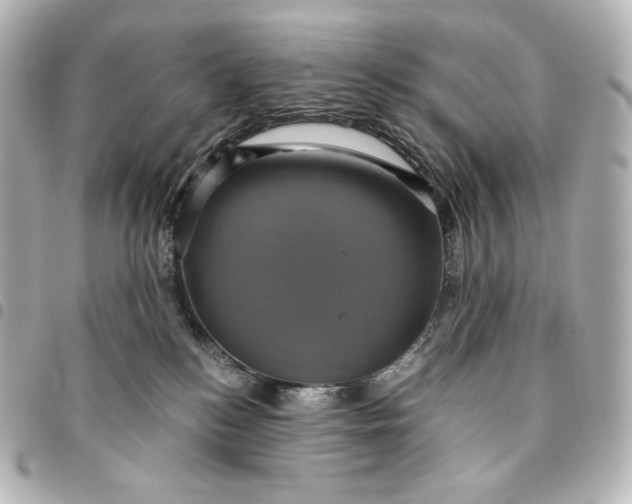 X0000095530184200712281530