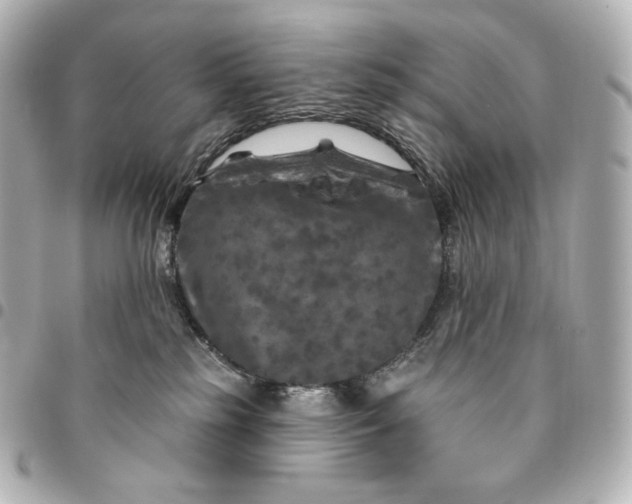 X0000095530185200712281530