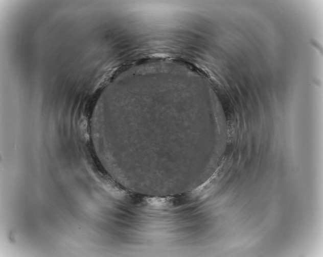 X0000095530187200712281530
